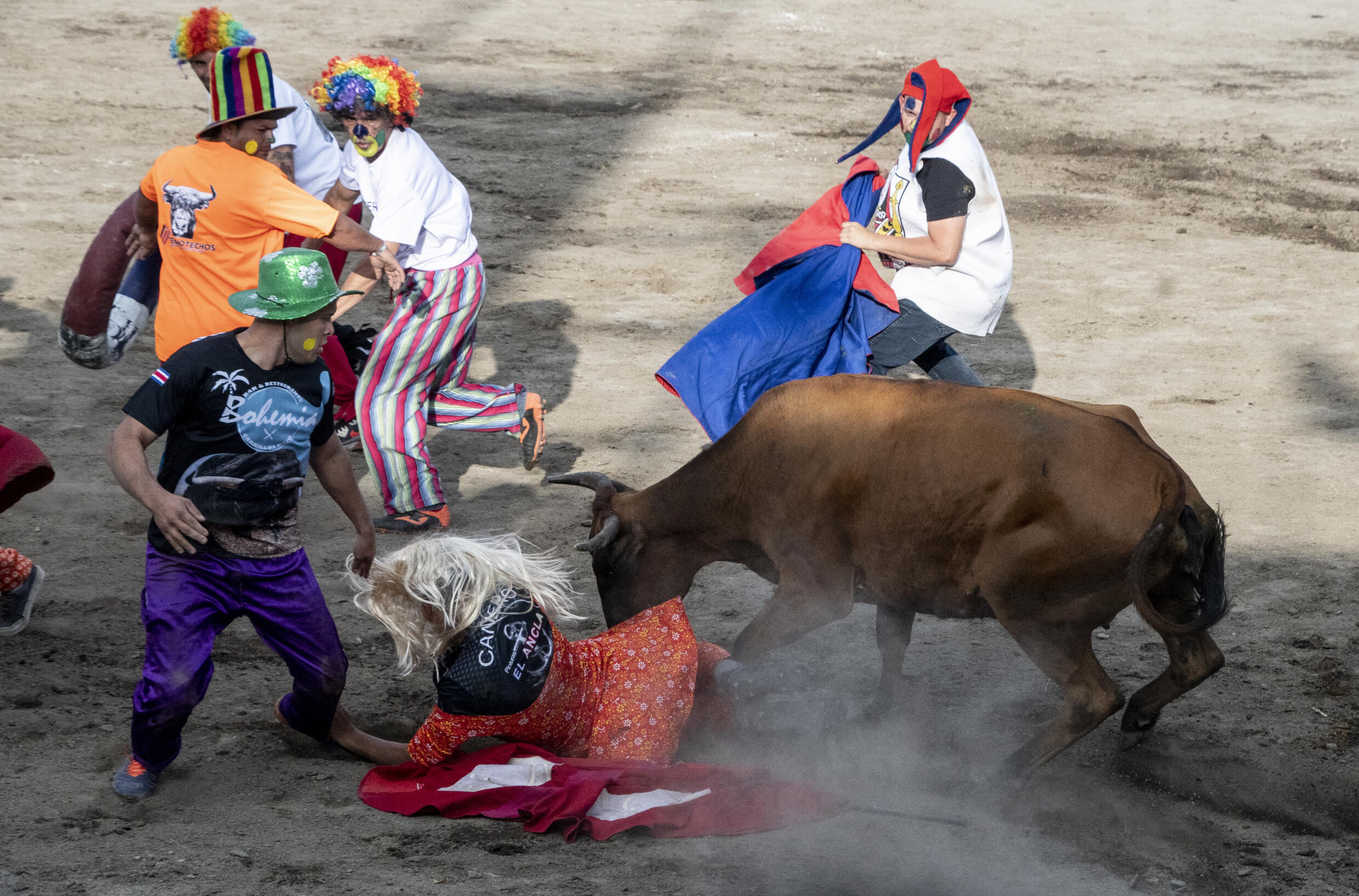 Toros a la tica