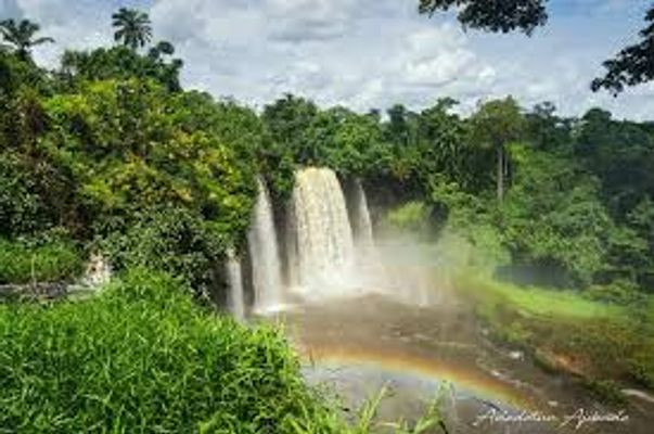 Agbokim Waterfalls showcasing its natural beauty