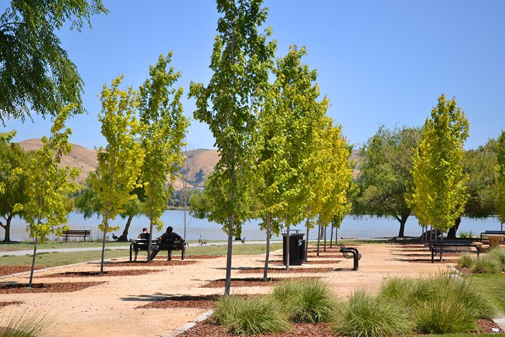 Central Park and Lake Elizabeth is a hub of attraction in Fremont