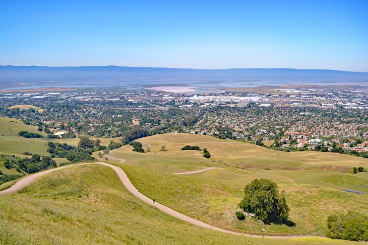 Mission Peak Regional Preserve offers a challenging summit hike with rewarding views