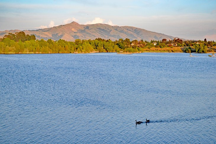 The Quarry Lakes Regional Recreation Area is a great place for swimming and hiking