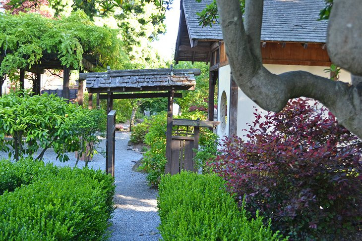 The Shinn Historical Park Japanese Garden is a secret gem of natural space