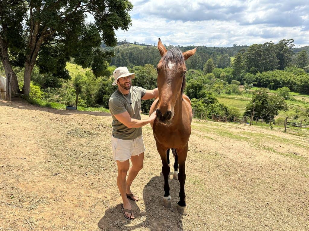 campinas horses Horseback riding is a great way to see the countryside surrounding Campinas
