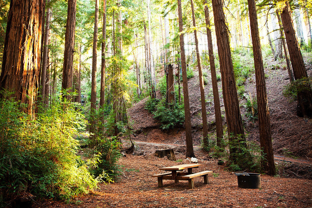 Camping site landscape