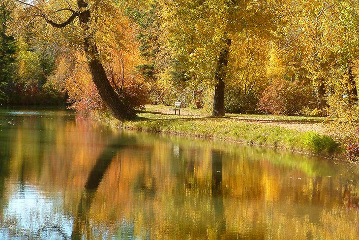 Fall colors in Bowness Park