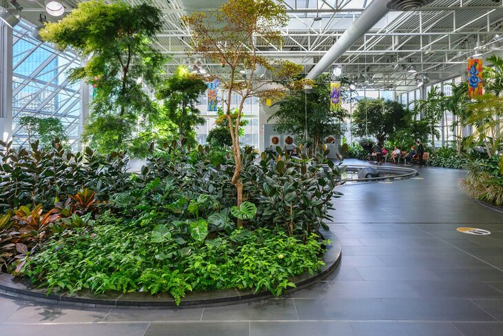 Indoor tropical garden at Devonian Gardens