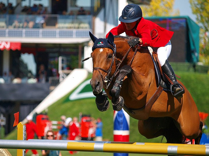 Equestrian show jumping at Spruce Meadows