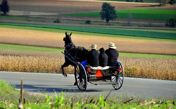 Amish Family Travel