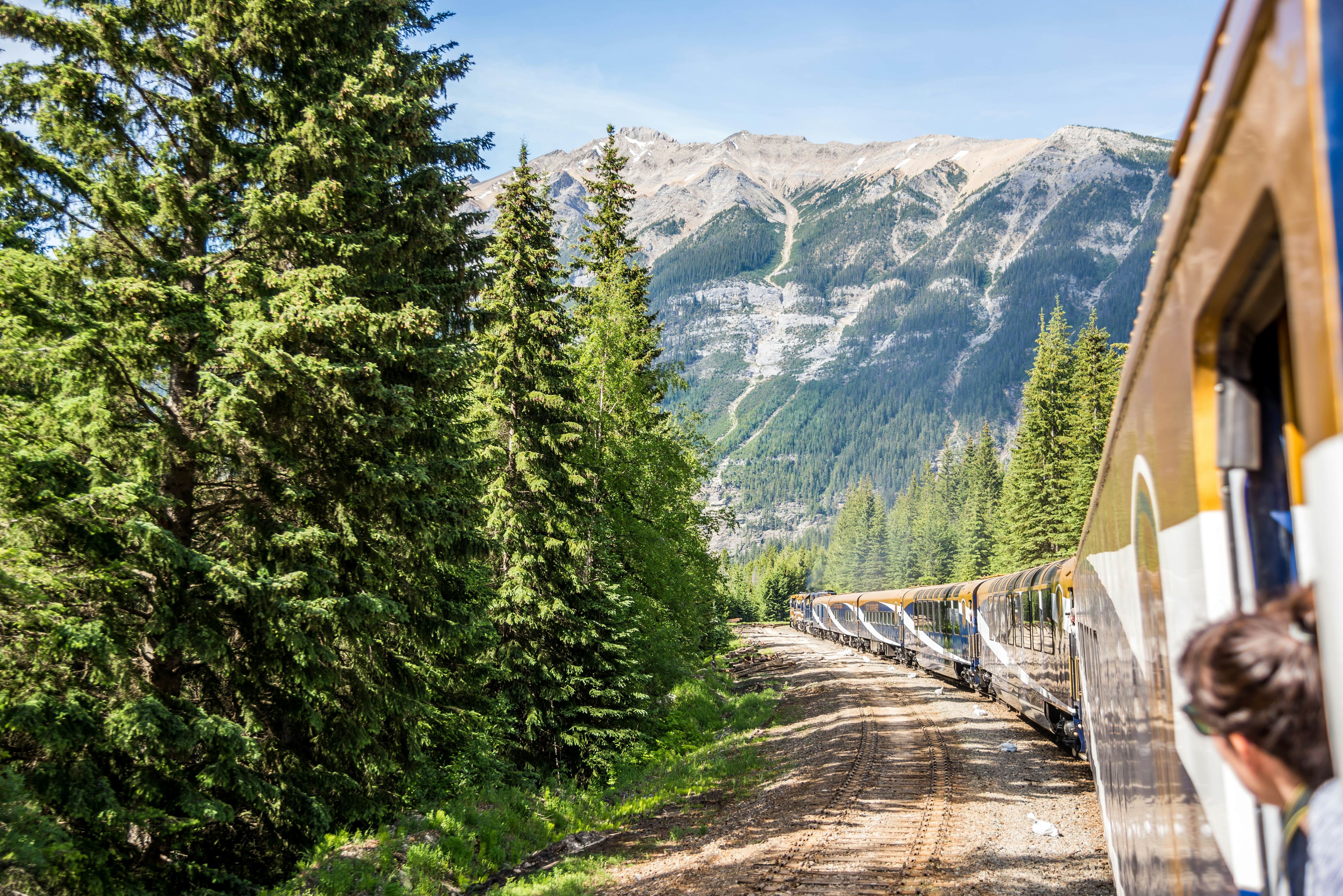 Enjoying the mountain scenery from an open train car