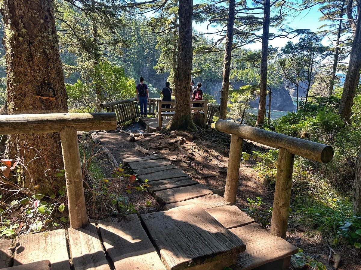 Cape Flattery Trail showcasing wood boardwalk through lush forest in Neah Bay