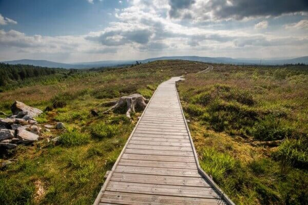 The popular Cuilcagh Legnabrocky Trail is in the heart of the region's global geopark. Photo: Brian Morrison for Failte Ireland.