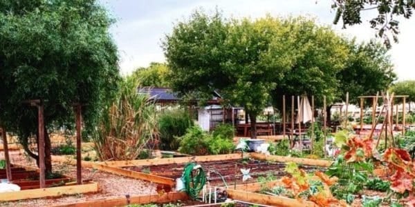 Gardens at Agritopia in Gilbert Arizona