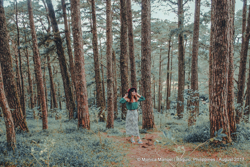 Traveler enjoying the serene forest bathing trail at Camp John Hay, Baguio