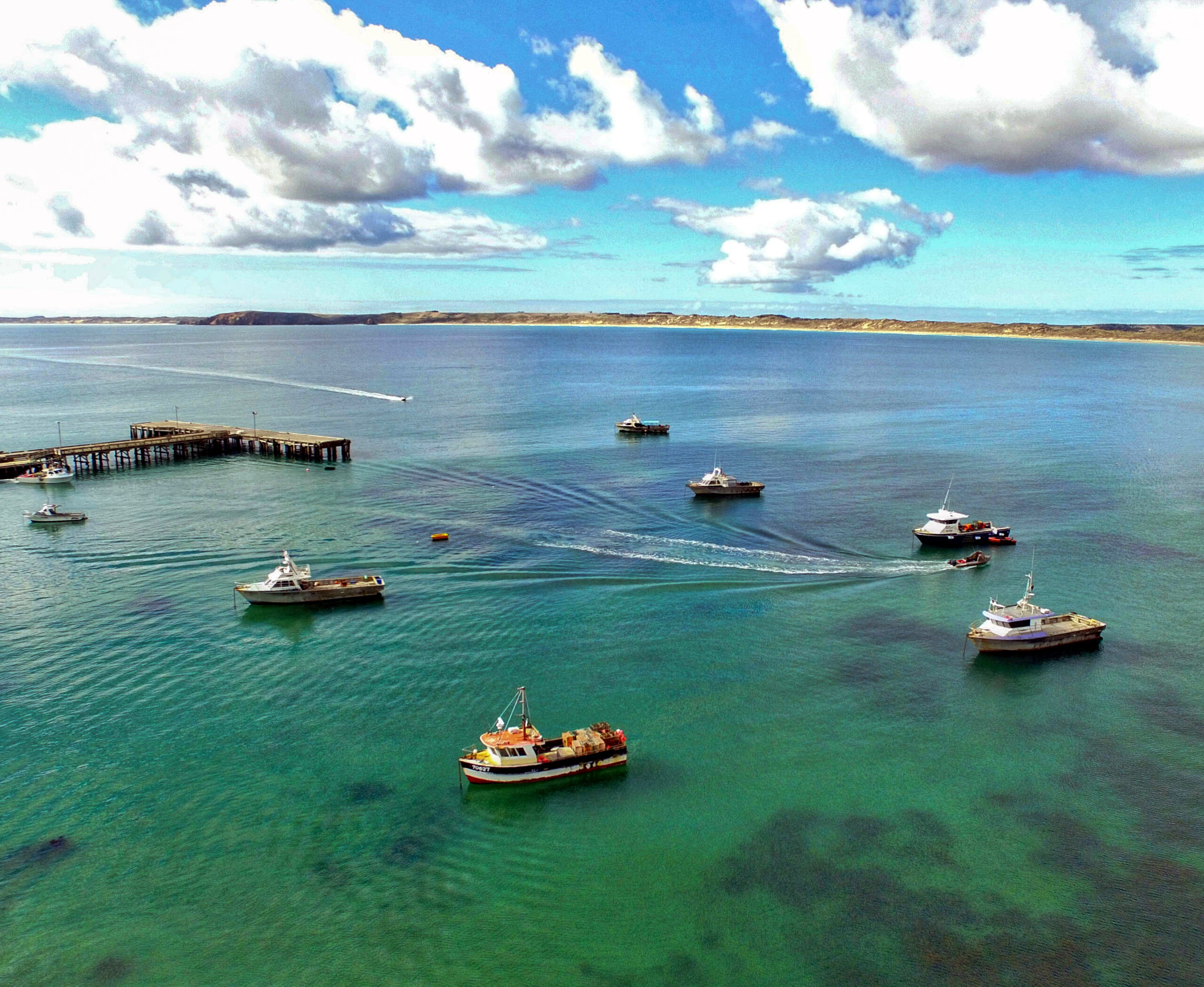 Chatham Islands Holiday Planning: Exploring the Best Inbound Tour Options