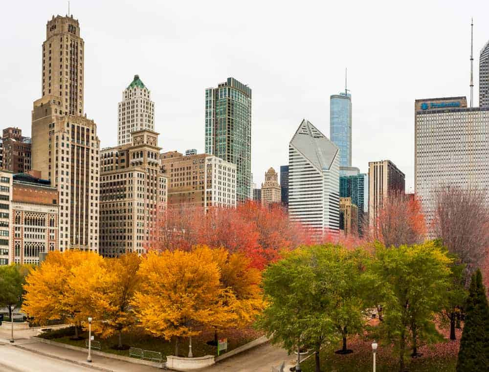 Chicago Skyline with fall colors