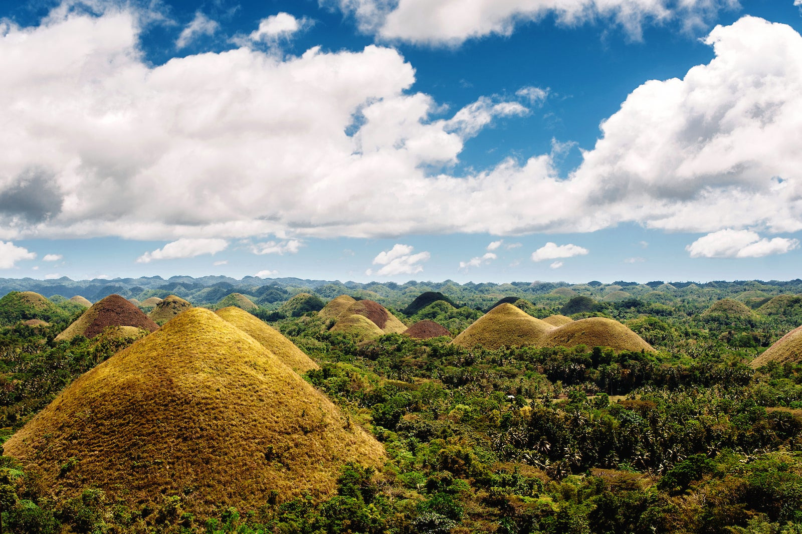 Chocolate Hills Tours