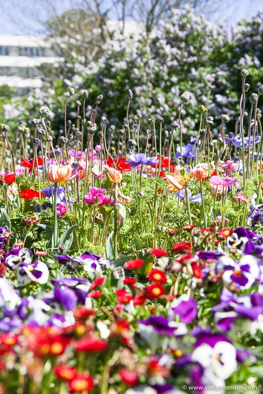 Botanic Gardens, Christchurch, New Zealand