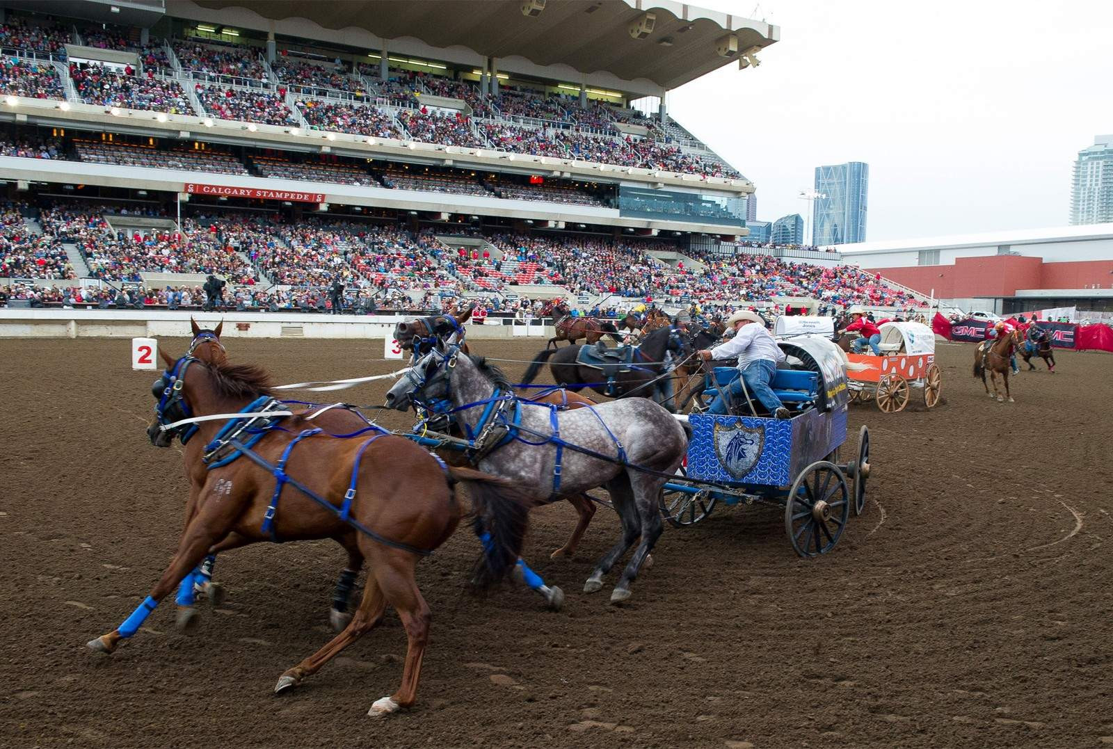 The exhilarating chuckwagon races, a hallmark event at the annual Calgary Stampede, capture the vibrant energy and Western spirit of Alberta's largest celebration.