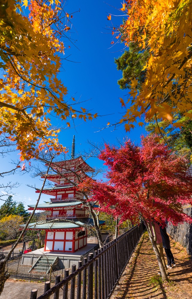 Chureito Pagoda Mount Fuji Fall Colors Japan