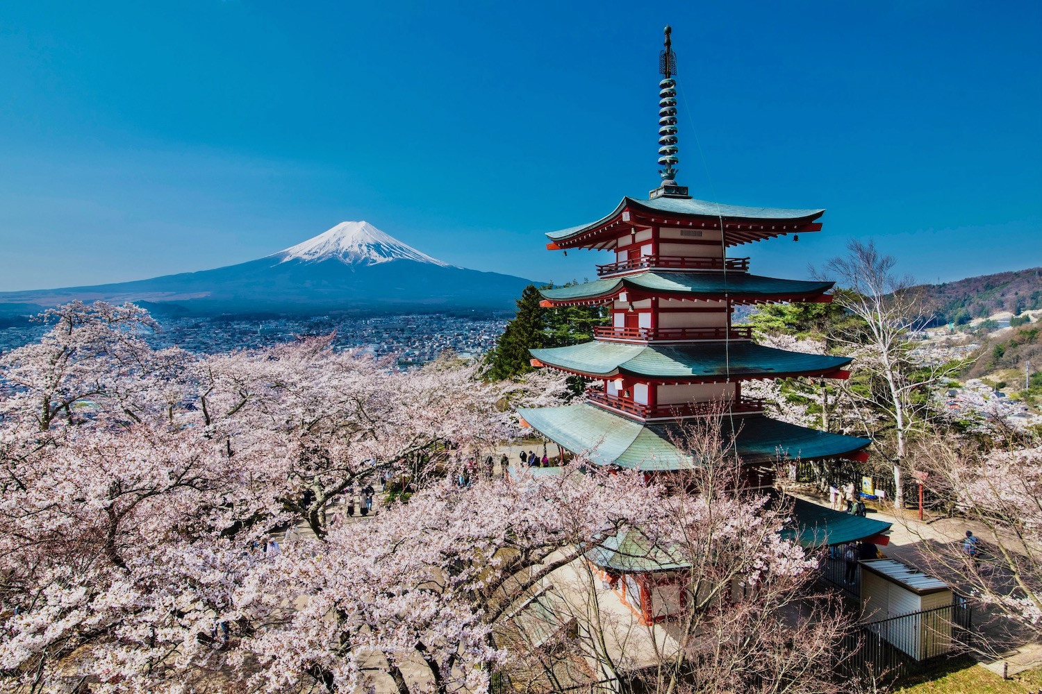 chureito pagoda
