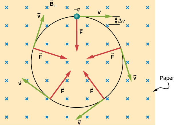 A negatively charged particle moves in the plane of the paper in a region where the magnetic field is perpendicular to the paper. The magnetic force is perpendicular to the velocity, so velocity changes in direction but not magnitude.