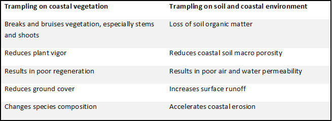 Coastal Ecosystems