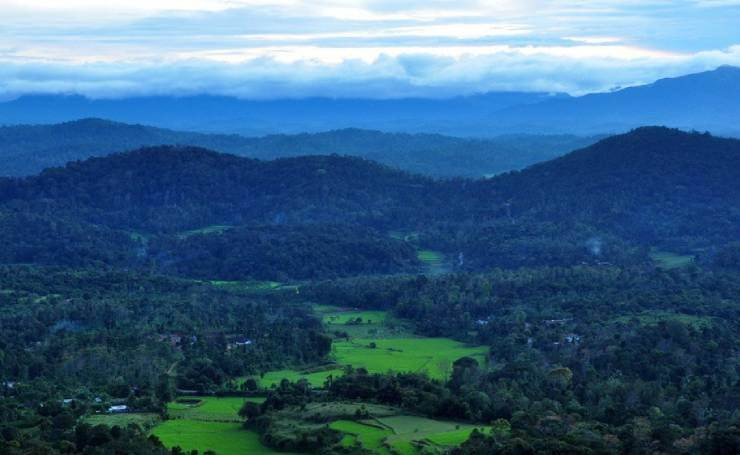 Coorg Hill Station