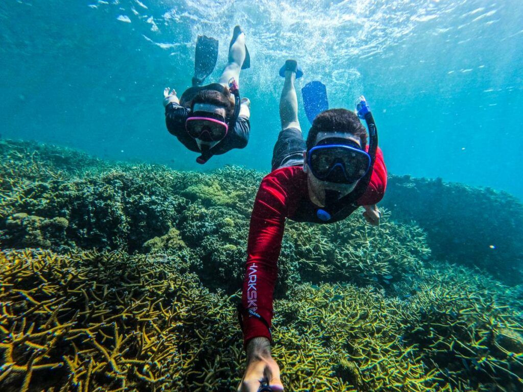 Couple Snorkelling Palolo Deep Coral