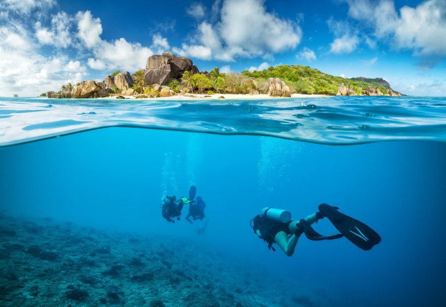Scuba diving to create an ecotourism business