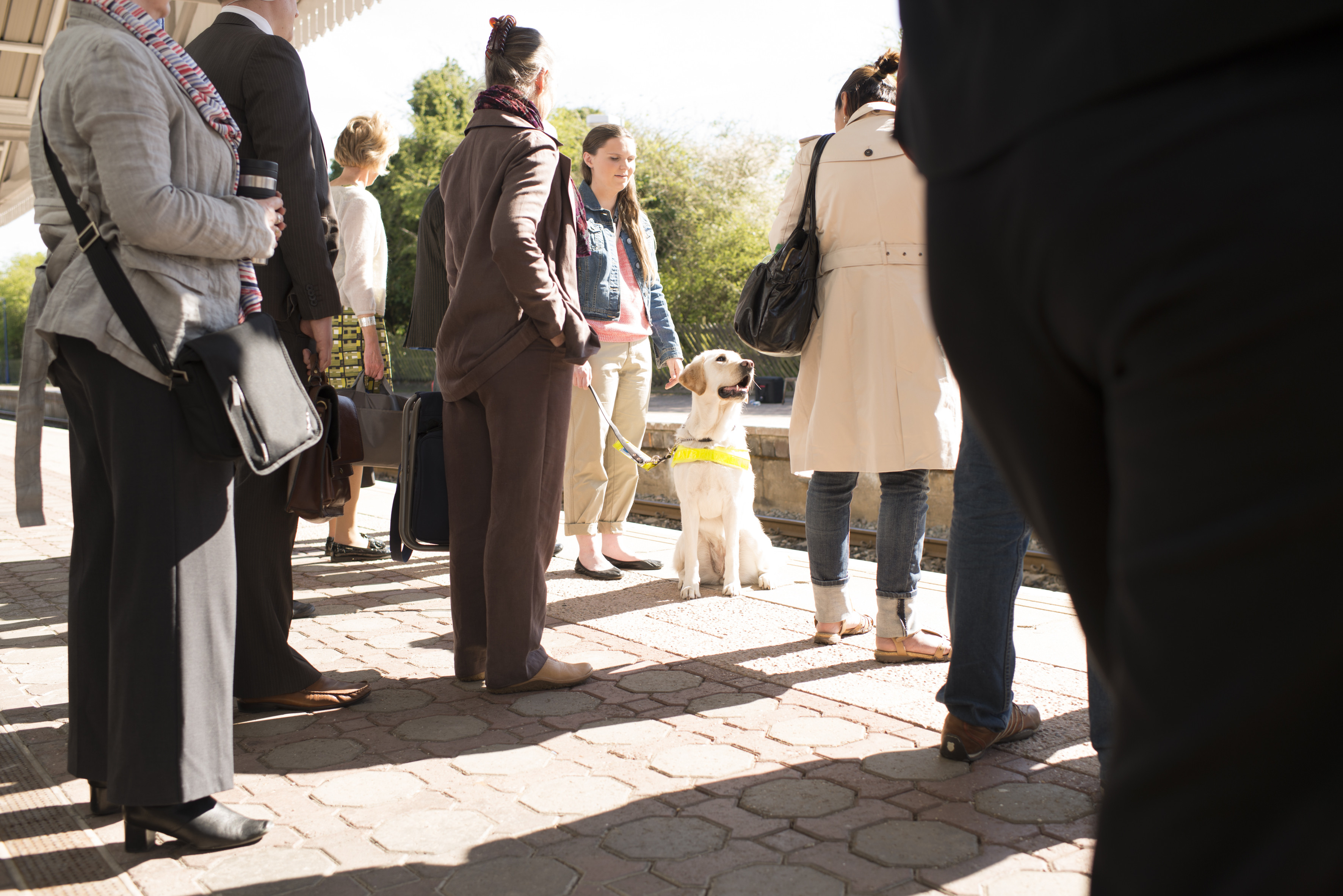 A woman and a guide dog on a busy station platform