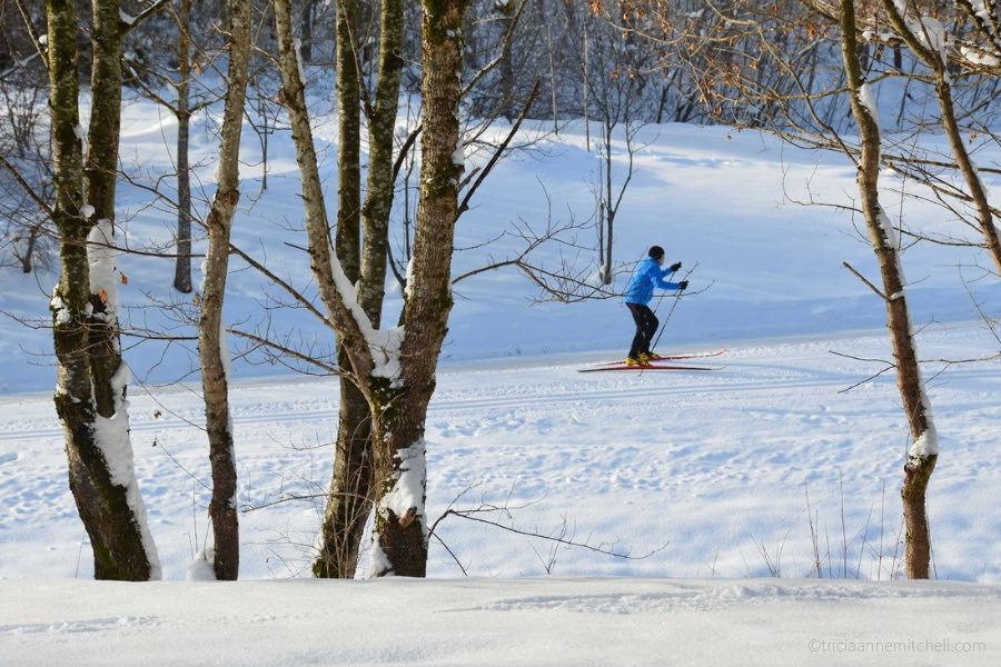 A cross country skier, dressed in blue and black, pushes through the snow. Barren trees are visible. The landscape is white.