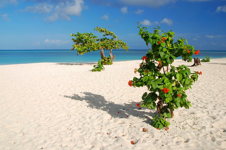 A serene view of Guardalavaca beach in Cuba, highlighting its lush greenery and clear waters