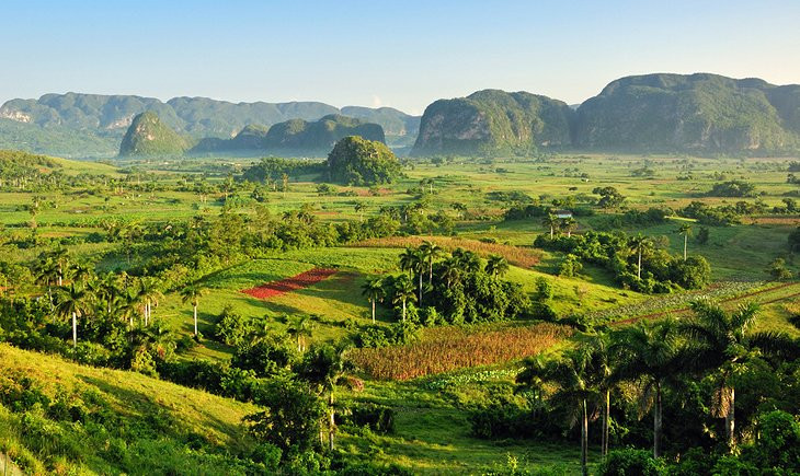 A scenic view of Parque Nacional Viñales, highlighting the mogotes and lush greenery