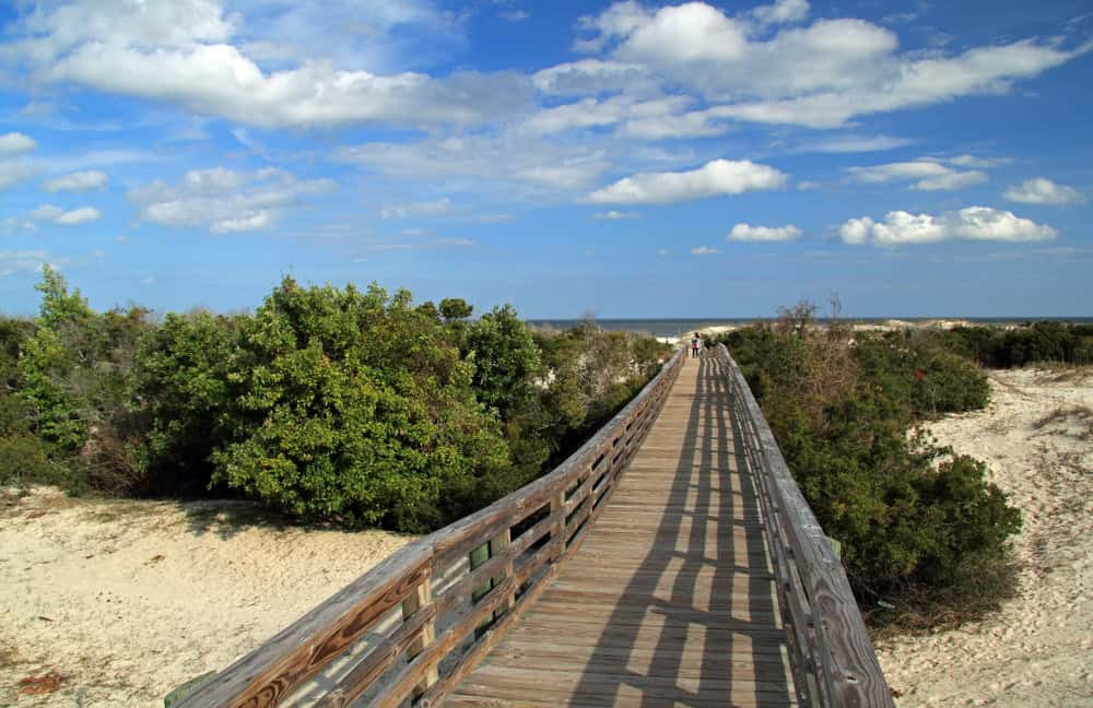 Expansive beach on Cumberland Island with gentle waves