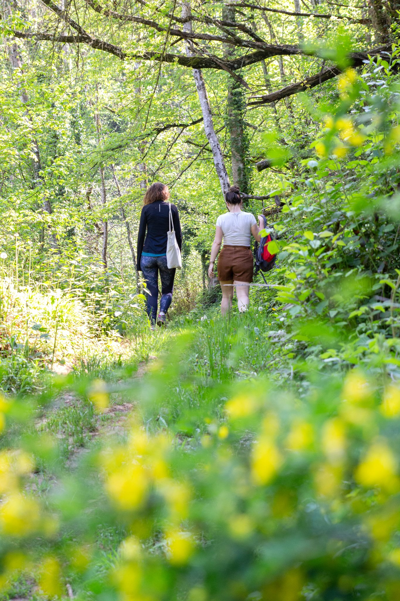 Hiking trail in the Bugey mountains