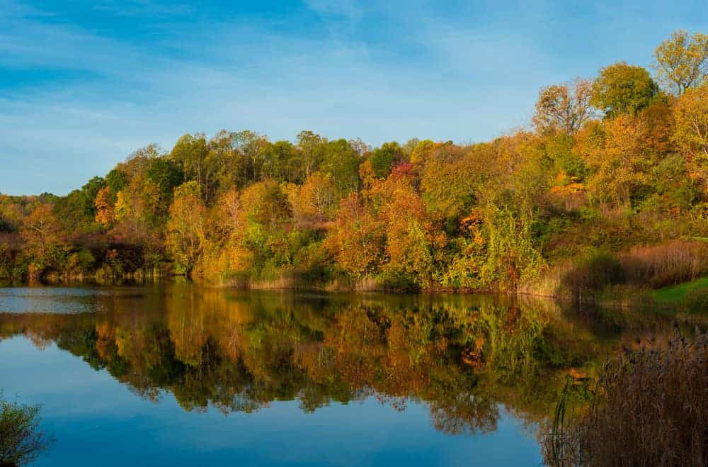 Cuyahoga Valley National Park, Ohio nestled between the cities of Akron and Cleveland, located along the scenic banks of the Cuyahoga River!