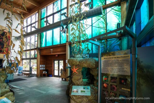 Ocean Institute Exhibits