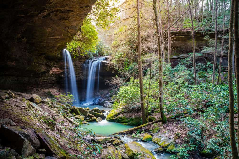Lush Greenery in Daniel Boone National Forest