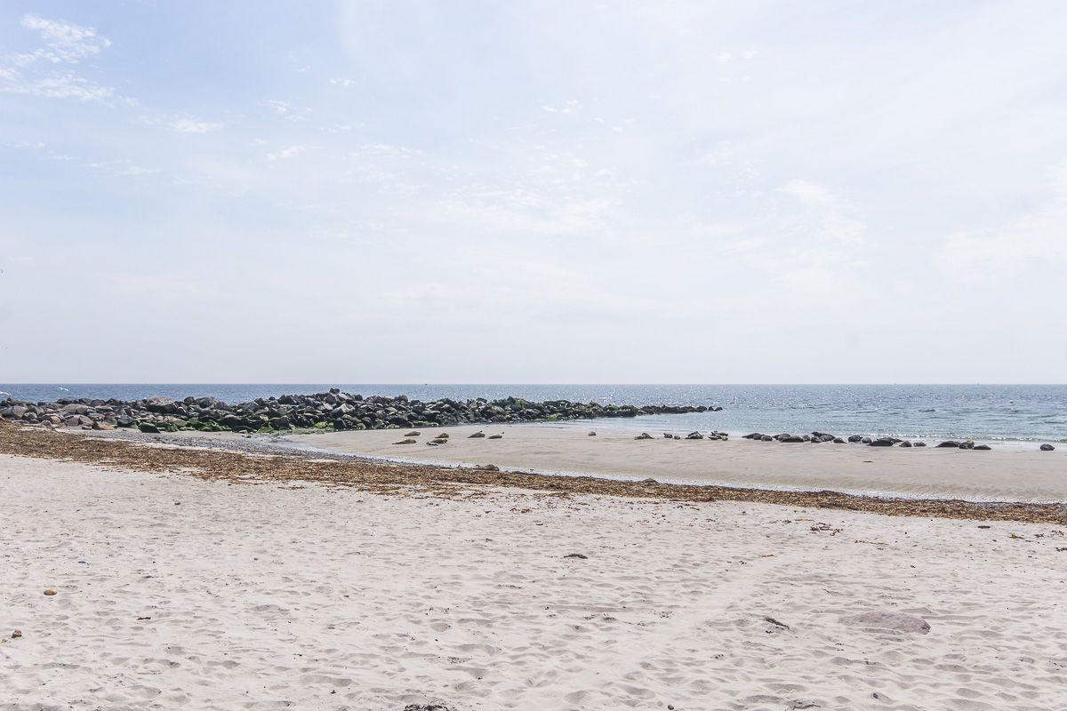 Seals on the beach of Düne island