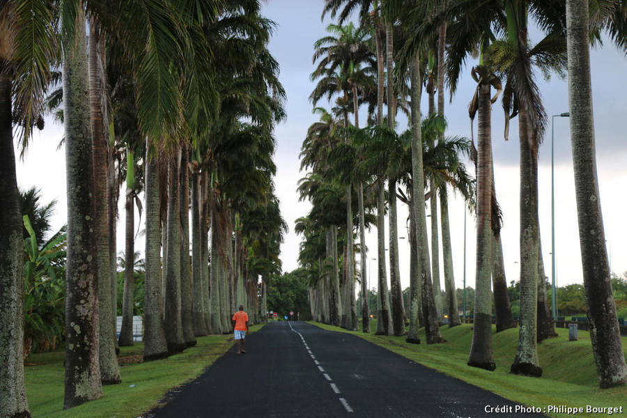 Le village de Capesterre Belle Eau, à Basse-Terre, en Guadeloupe: Dumanoir alley in Capesterre Belle Eau village, Basse-Terre, Guadeloupe