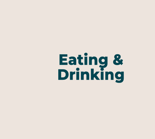 Chatham Islands Dining: Savoring the Fresh Flavors of the Sea