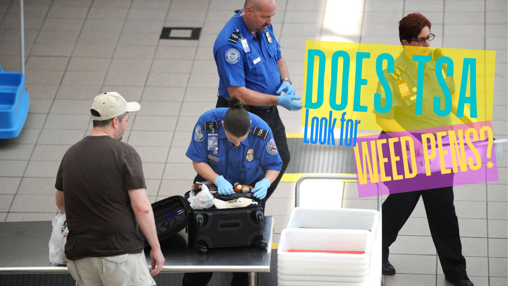 TSA's Role in Security Checks