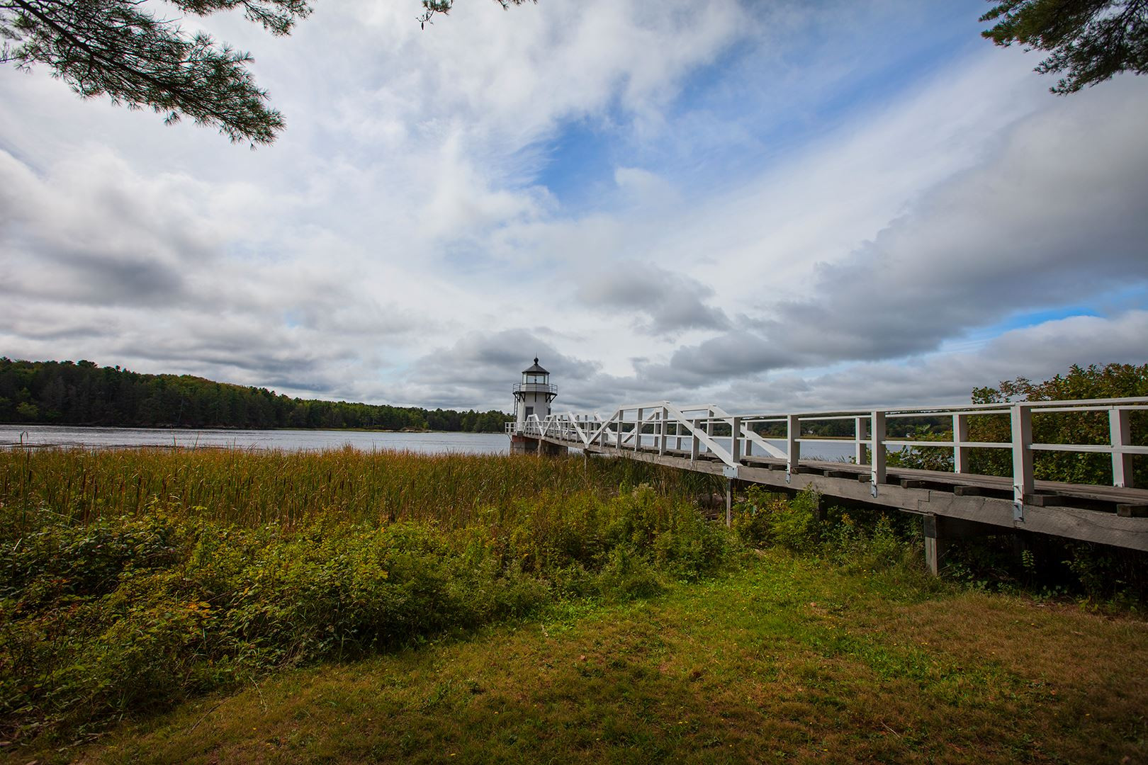 Doubling Point Lighthouse nestled among lush trees