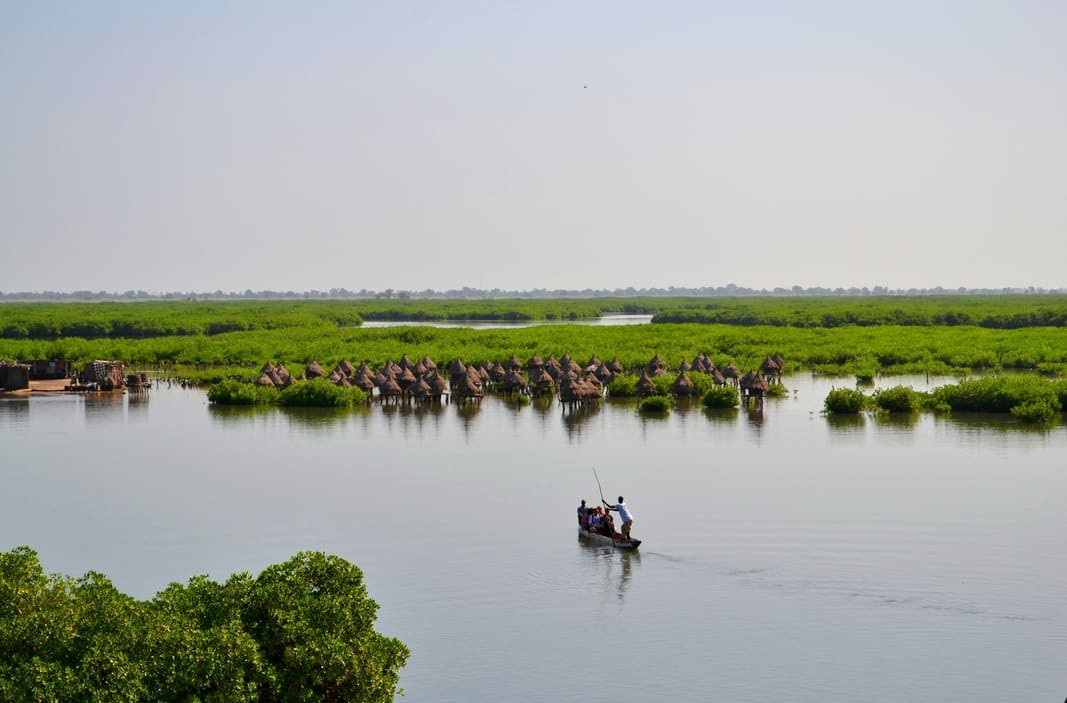 Exploring the mangroves of Kafountine