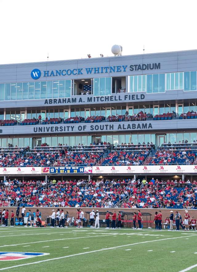Football fans fill the stands, cheering on their team with enthusiasm