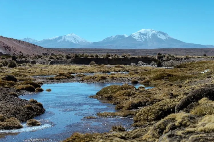 Views across Reserva Nacional Las Vicuñas