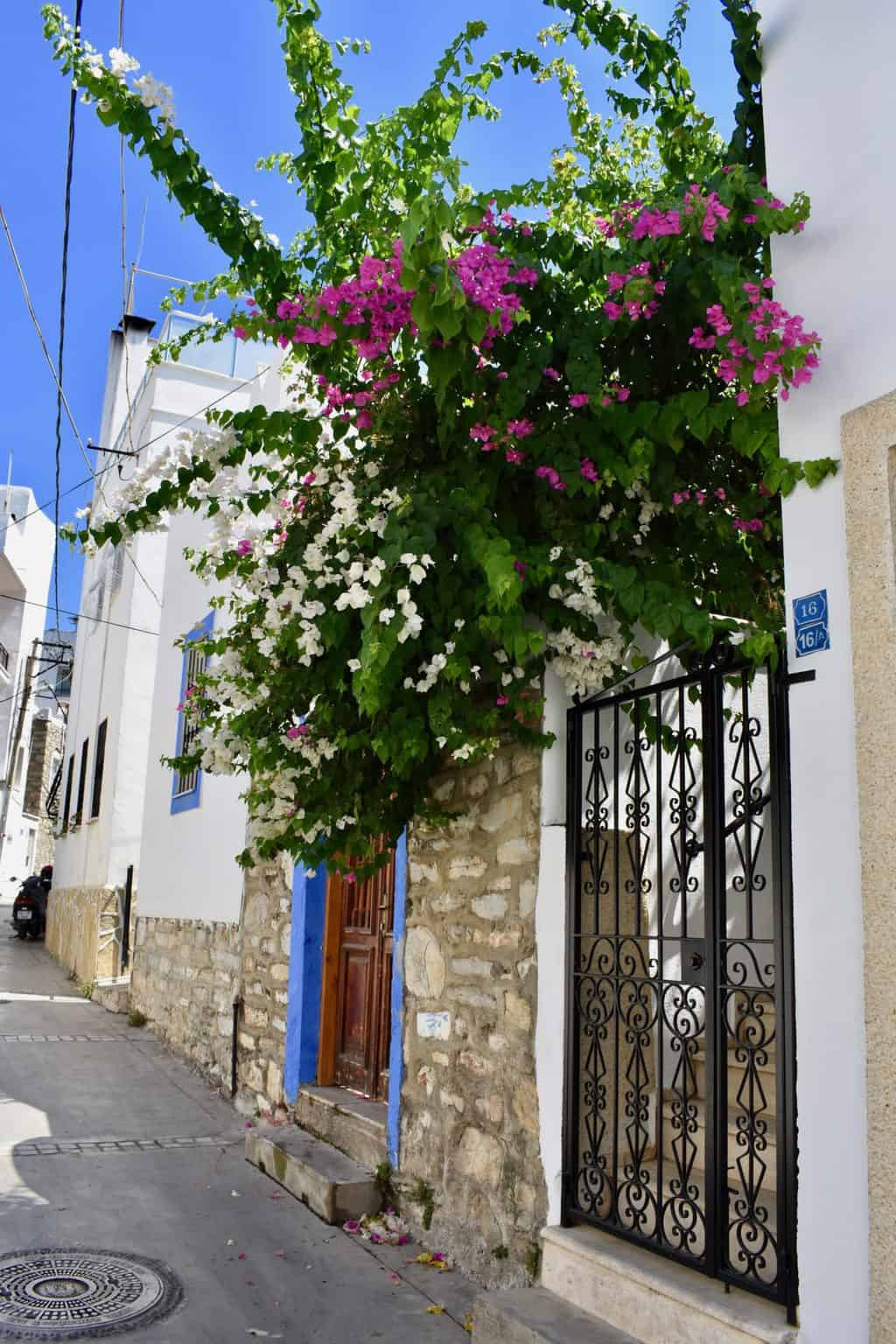Exploring Bodrum's streets