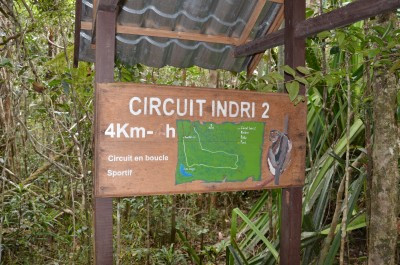 Hiking path in Andasibe National Park, Madagascar