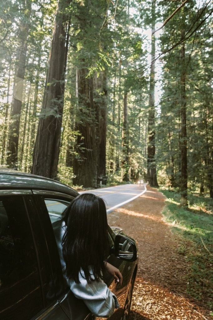 Exploring Redwood National Park, a family-friendly option for Northern California coast tourism