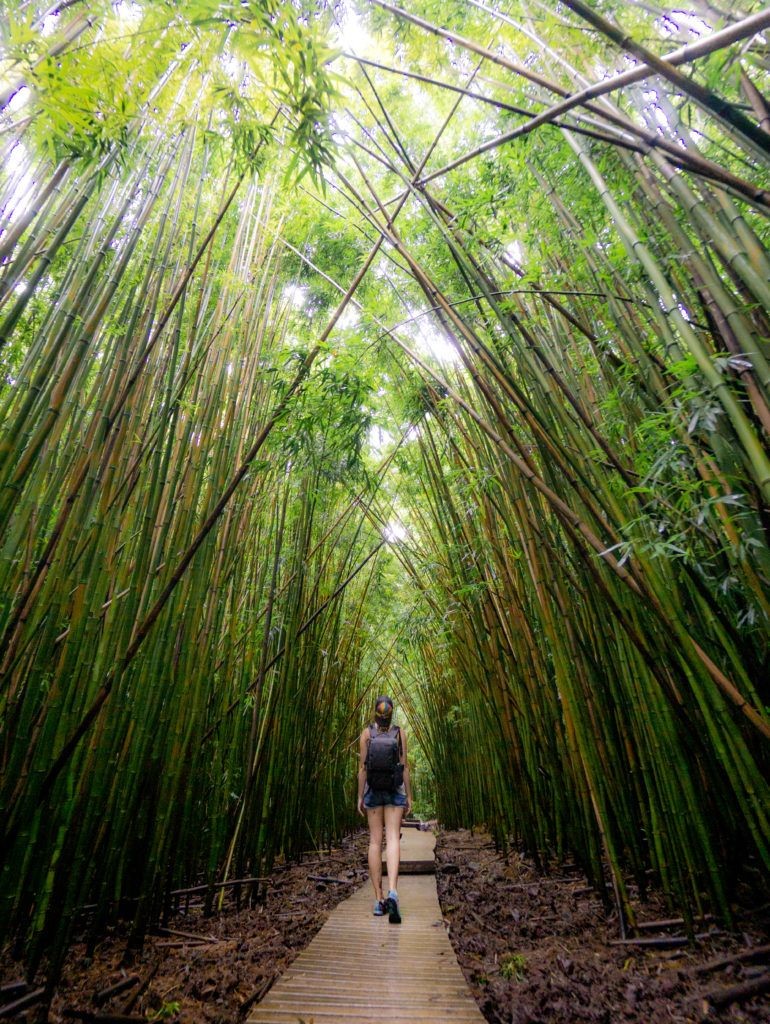 Maui Hawaii Solo Travel